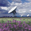 Observing with the VLA-EVLA Transition Array