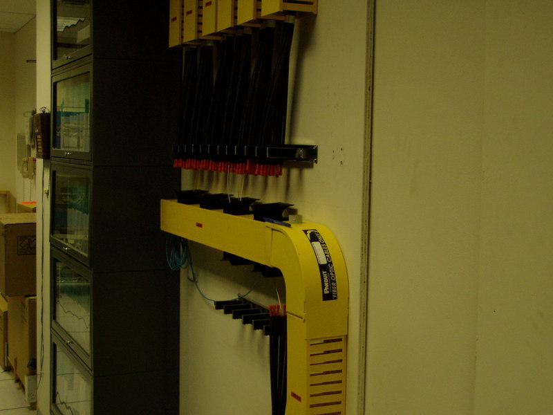 Picture 029.jpg