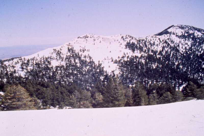 Timber-Ridge-north-march 1992.jpg