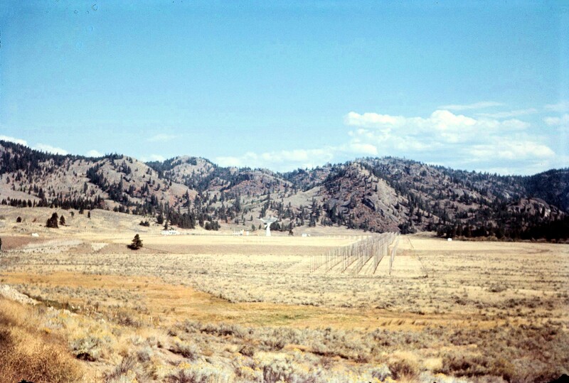 19651000-DRAO-22-MHz-T-array.jpg