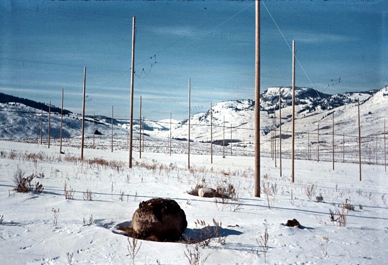 1965-Winter-DRAO-10-MHz-T-array-poles-and-rocks.jpg