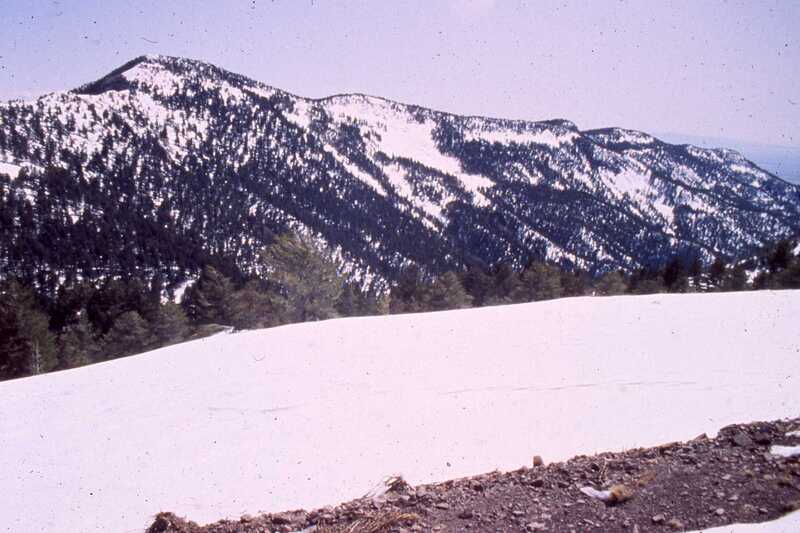 Timber-Ridge-south-march1992.jpg