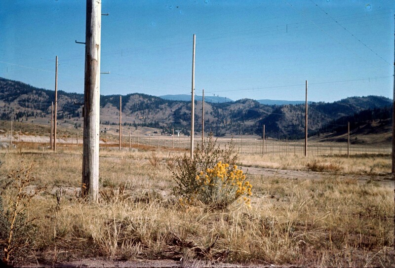 19650000-DRAO-10-MHz-T-array-poles-and-sage.jpg