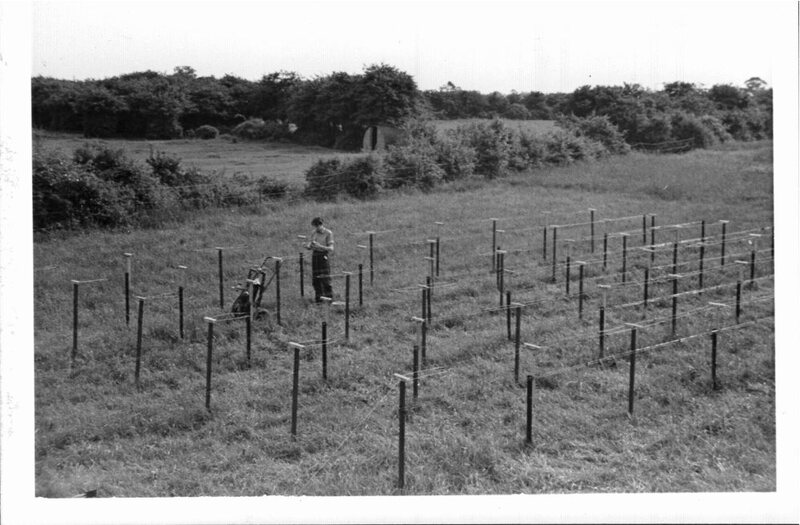 1964-Bridle-working-on-81.5-MHz-array-at-Rifle-Range.jpg