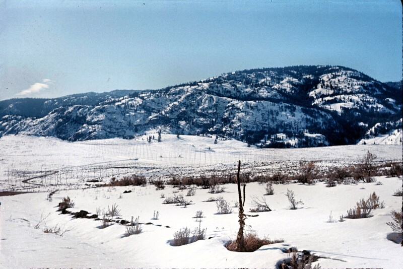 1965-Winter-DRAO-10-MHz-T-array-site-from-North-East.jpg