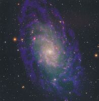 M33 in Radio and Optical