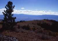 MMA South Baldy NM Site, ca. 1992