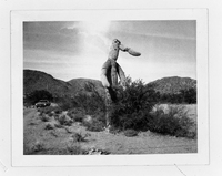 Arizona Cactus, 1973