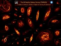 HI Nearby Galaxy Survey (THINGS)