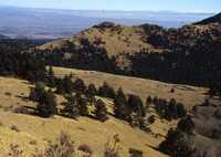 MMA South Baldy NM Site, December 1990