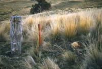 Kempton Antenna Site, Tasmania