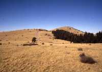 MMA South Baldy NM Site, December 1990