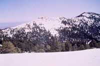 MMA South Baldy NM Site, March 1992