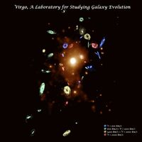 Virgo, A Laboratory for Studying Galaxy Evolution