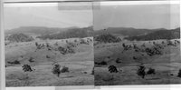 Kempton Antenna Site, Tasmania