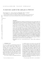 A Relativistic Model of the Radio Jets in NGC 315