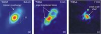 W49A - Bipolar Morphology