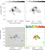 Interacting Group Arp 313