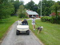 John D. Kraus in cart, walking the dogs