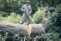 John D. Kraus cutting wood