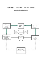 ALMA organizational structure