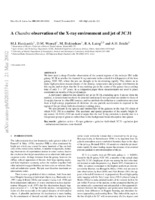 A Chandra Observation of the X-ray Environment and Jet of 3C 31