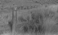 Kempton Antenna Site, Tasmania