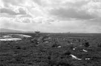 VLA Monthly Progress Report, January 1979 Photo