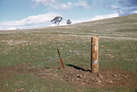 Kempton Antenna Site, Tasmania