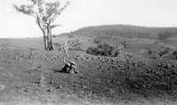 Kempton Antenna Site, Tasmania