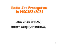 Radio Jet Propagation in NGC383=3C31