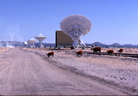 VLA Construction Slides