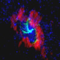 Stars and Gas Orbiting the Massive Black Hole