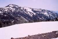 MMA South Baldy NM Site, March 1992