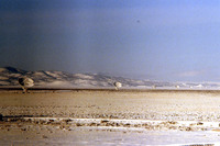 VLA Photos, 1982-1983