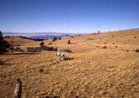 MMA South Baldy NM Site, December 1990