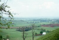 Bertil Höglund Photographs, 1965