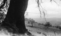 Kempton Antenna Site, Tasmania