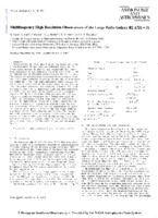 Multifrequency High Resolution Observations of the Large Radio Galaxy B2 1321+31