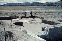 VLA Master Slides