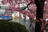 International Symposium on Space Terahertz Technology, Charlottesville, April 2009  - Day 2