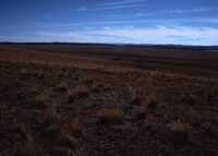 MMA Springerville AZ Site, ca. 1992