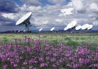 Very Large Array &amp; Flowers