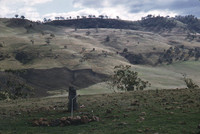 Kempton Antenna Site, Tasmania