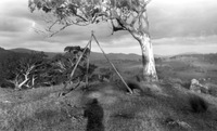 Kempton Antenna Site, Tasmania