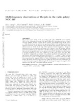 Multifrequency Observations of the Jets in the Radio Galaxy NGC315