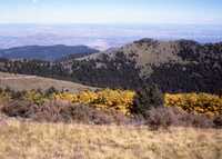 MMA South Baldy NM Site, ca. 1992