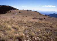 MMA South Baldy NM Site, ca. 1992