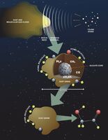 Shock Front Molecule Production