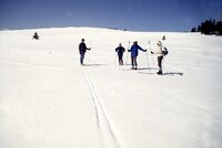 MMA South Baldy NM Site, 1992